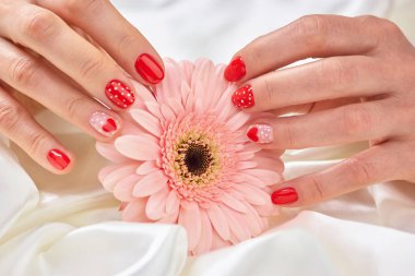 Gerbera tutarak yumuşak eller.