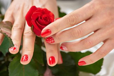 Kırmızı gül dokunmadan eller kadın.