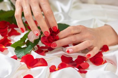 Gül tomurcuğu holding Womans eller.