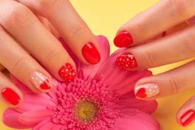 Erkek manikürlü eller ve gerbera.