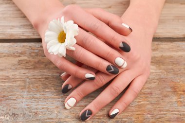 Bakımlı eller ve beyaz krizantem.