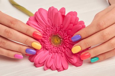 Manikürlü eller içinde pembe gerbera.