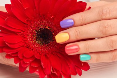 Manikürlü parmak ve Kırmızı gerbera.