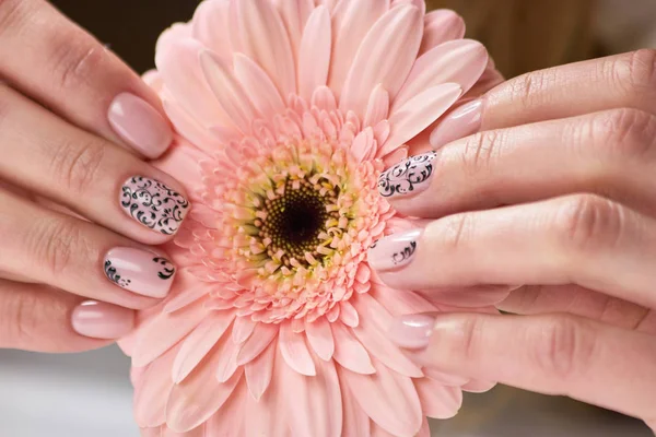 Manos femeninas sosteniendo flor de gerberas. Hermosas manos femeninas con manicura beige sosteniendo gerberas de color melocotón. Mujer ternura y cuidado . — Foto de Stock