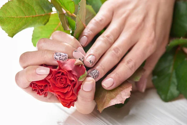 stock image Female hands with gentle manicure.