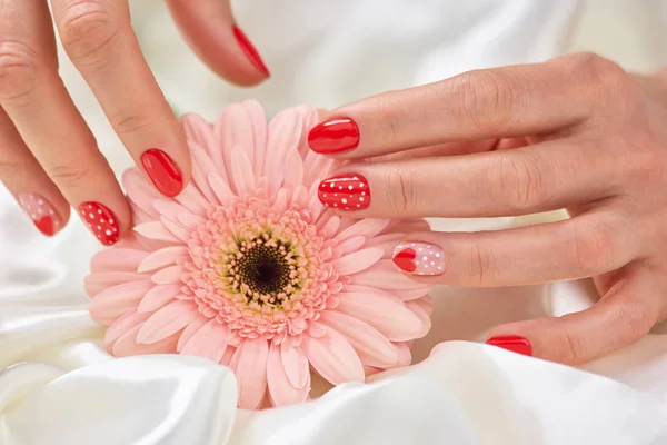 Delicate pink gerbera and red manicure. — Stock Photo, Image
