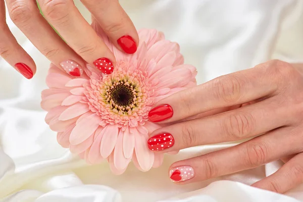 Bakımlı eller içinde nazik gerbera.