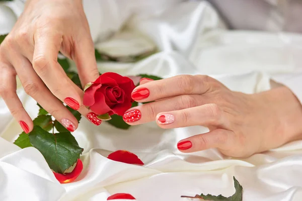 Well-groomed womans hands with rose.