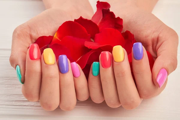 Rose petals in female manicured hands.