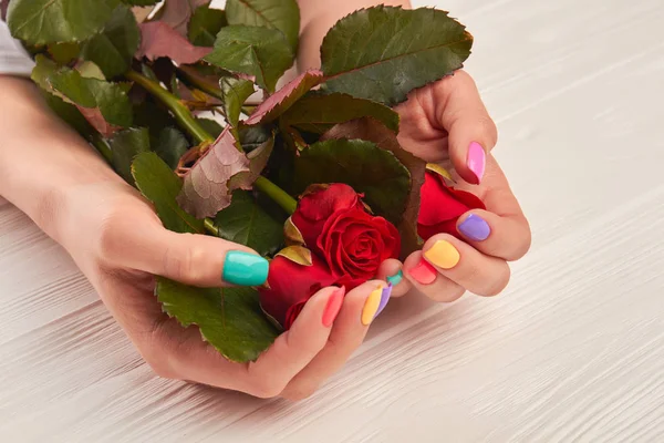 Rosa roja en manos bien cuidadas . — Foto de Stock