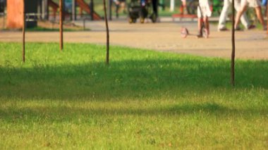 Holiday park çim izin günü.