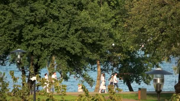 Réveiller les gens dans le parc, vue latérale . — Video