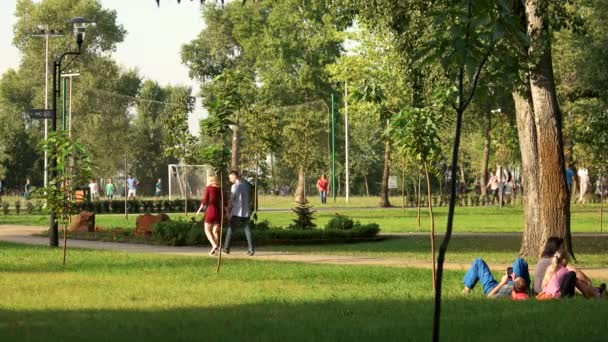 Sport exercises in the park. — Stock Video