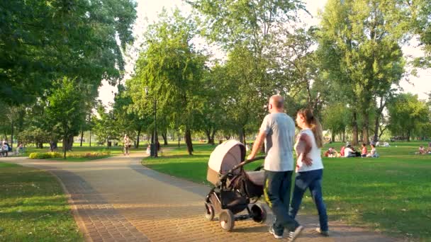 Belle journée ensoleillée dans le parc . — Video