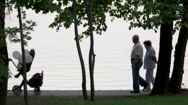 Caminar con carruaje de bebé cerca de un lago . — Vídeos de Stock