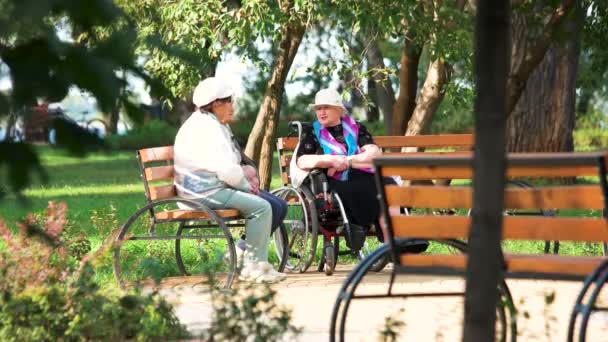 Grannies in the park. — Stock Video