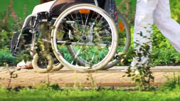 Riding wheelchair close up. — Stock Video