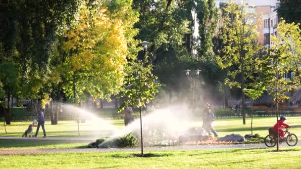 Tuin sprinkler in het stadspark. — Stockvideo