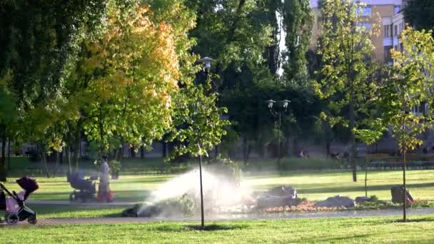 Aspersor de riego automático en el parque de la ciudad . — Vídeos de Stock