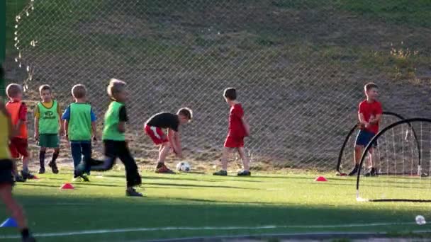 Ποδόσφαιρο ποδόσφαιρο προπόνηση για παιδιά. — Αρχείο Βίντεο