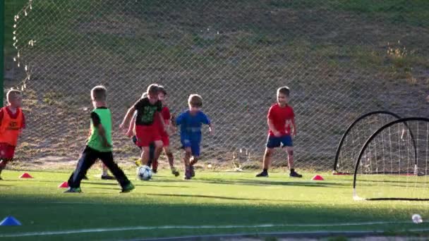 Ποδοσφαιρικό αγώνα ποδόσφαιρο για παιδιά. — Αρχείο Βίντεο