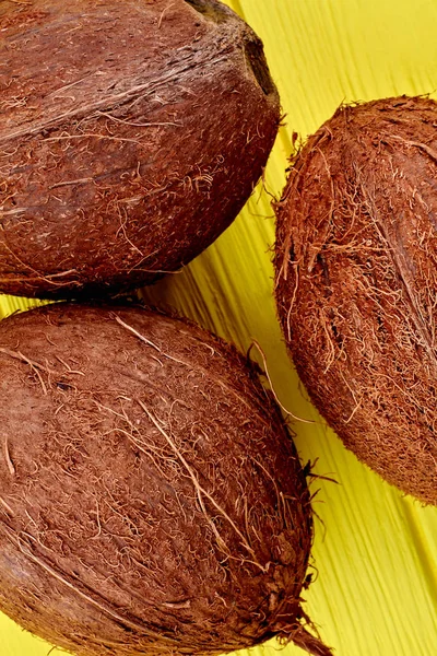 Close-up van drie hele kokosnoten. — Stockfoto