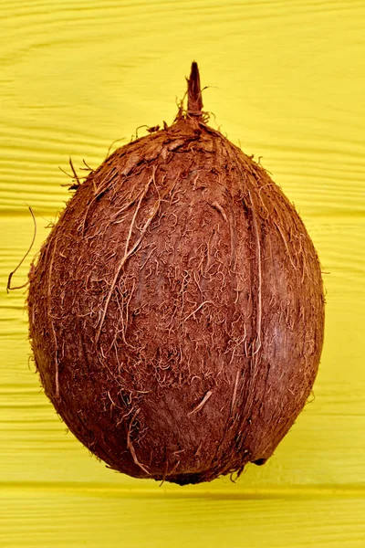 Hele tropische kokosnoot fruit. — Stockfoto