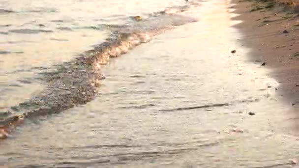 Close-up de borda de águas na praia da noite . — Vídeo de Stock