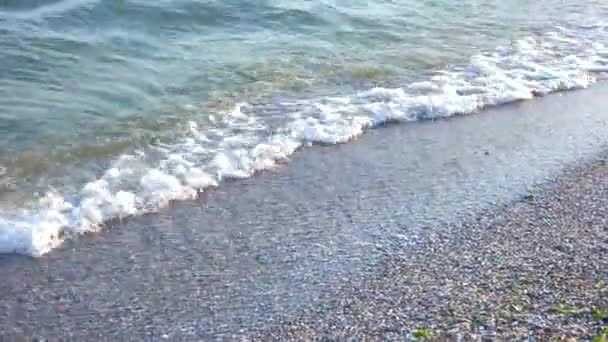 Playa orilla del mar de cerca . — Vídeo de stock