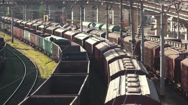 Many train wagons. — Stock Video