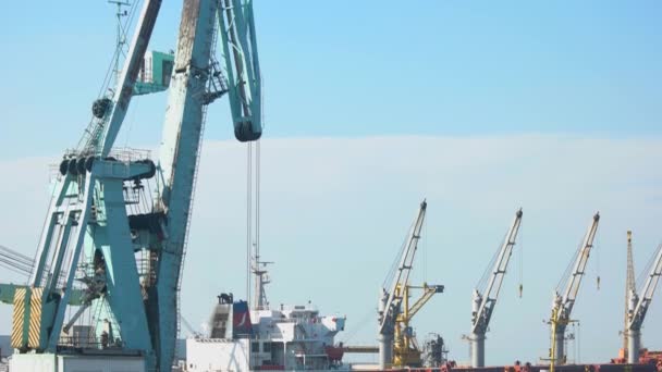 Seaport vinç lojistik ithalat ihracat. — Stok video