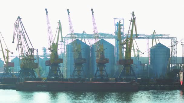 Industriële kranen voor cargo containers in de haven. — Stockvideo