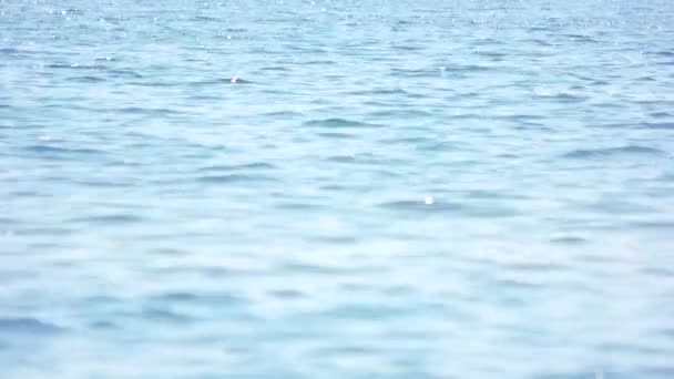 Acqua di mare da vicino . — Video Stock