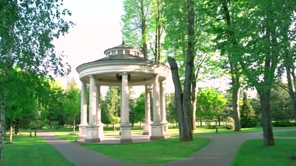 여름 도시 공원. — 비디오