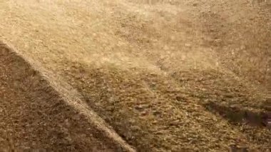 Büyük tahıl tesisi depolama yığını kapat.