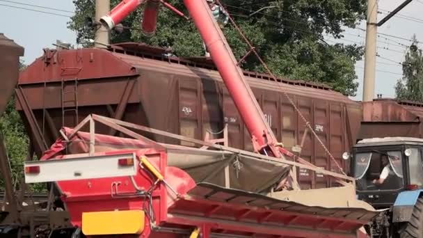 Tracktor med korn trailer. — Stockvideo