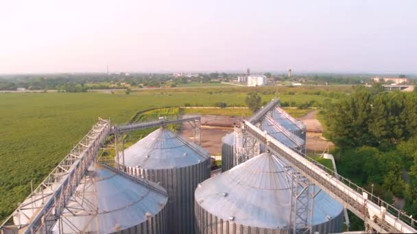 Elevador de grãos moderno e armazenamento no campo . — Vídeo de Stock