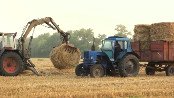 Трактор працює на полі . — стокове відео
