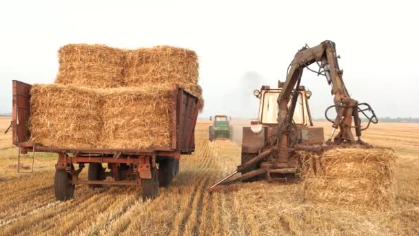 Tractor with fork grabber folding hay blocks. — Stock Video