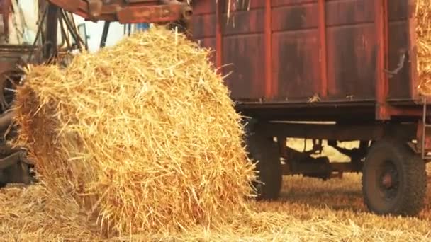 Traktor überschlägt sich auf Feld mit Heu. — Stockvideo