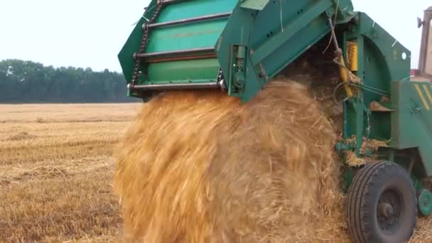 Att göra höstack halm balen. — Stockvideo