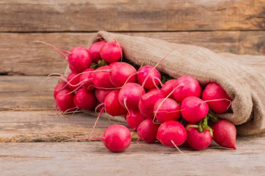 Bir çuval içinde turp hasat.