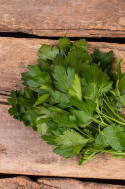Ahşap üzerine Yeşil taze maydanoz.