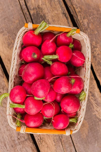 Colheita de rabanetes em uma cesta . — Fotografia de Stock