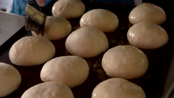 Rohe hausgemachte Brötchen auf Blech. — Stockvideo