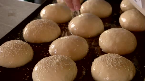 Baker espolvorea bollos con semillas de sésamo . — Vídeos de Stock