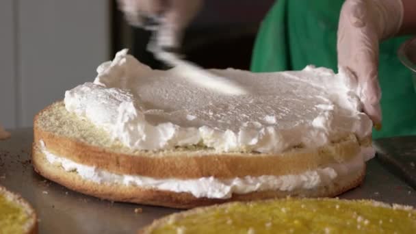 Pastelero pone crema encima de la torta . — Vídeo de stock