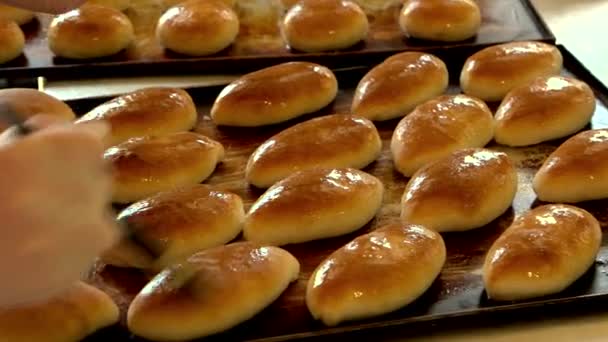 Bollos al horno en bandeja de horno . — Vídeos de Stock