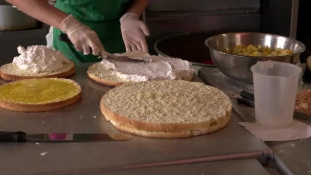Bäcker setzt Buttercreme auf Kuchen. — Stockvideo