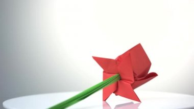 Kırmızı gül çiçeği yaklaş..